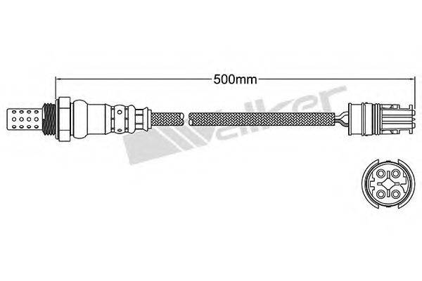 WALKER PRODUCTS 25024465 Лямбда-зонд