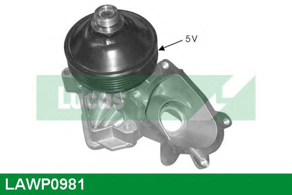 LUCAS ENGINE DRIVE LAWP0981 Водяний насос