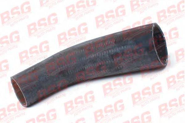 Трубка повітря, що нагнітається BSG BSG 30-720-100 Трубка повітря, що нагнітається BSG BSG 30-720-100